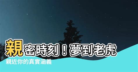 夢到 老虎